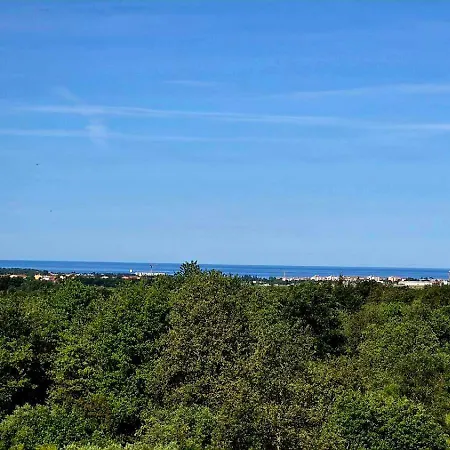 Gogi Апартаменты *